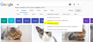 How To Find Great Free Images on Google