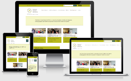 accessible website redesign for Patient Voices Network