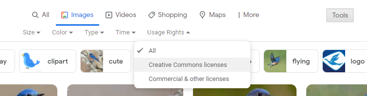 Screenshot of Google search images and the Usage Rights and selecting “Creative Commons licences”
