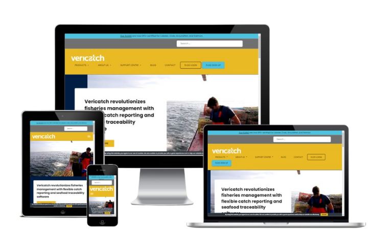 Screenshot of Vericatch website: desktop, tablet, laptop and mobile.