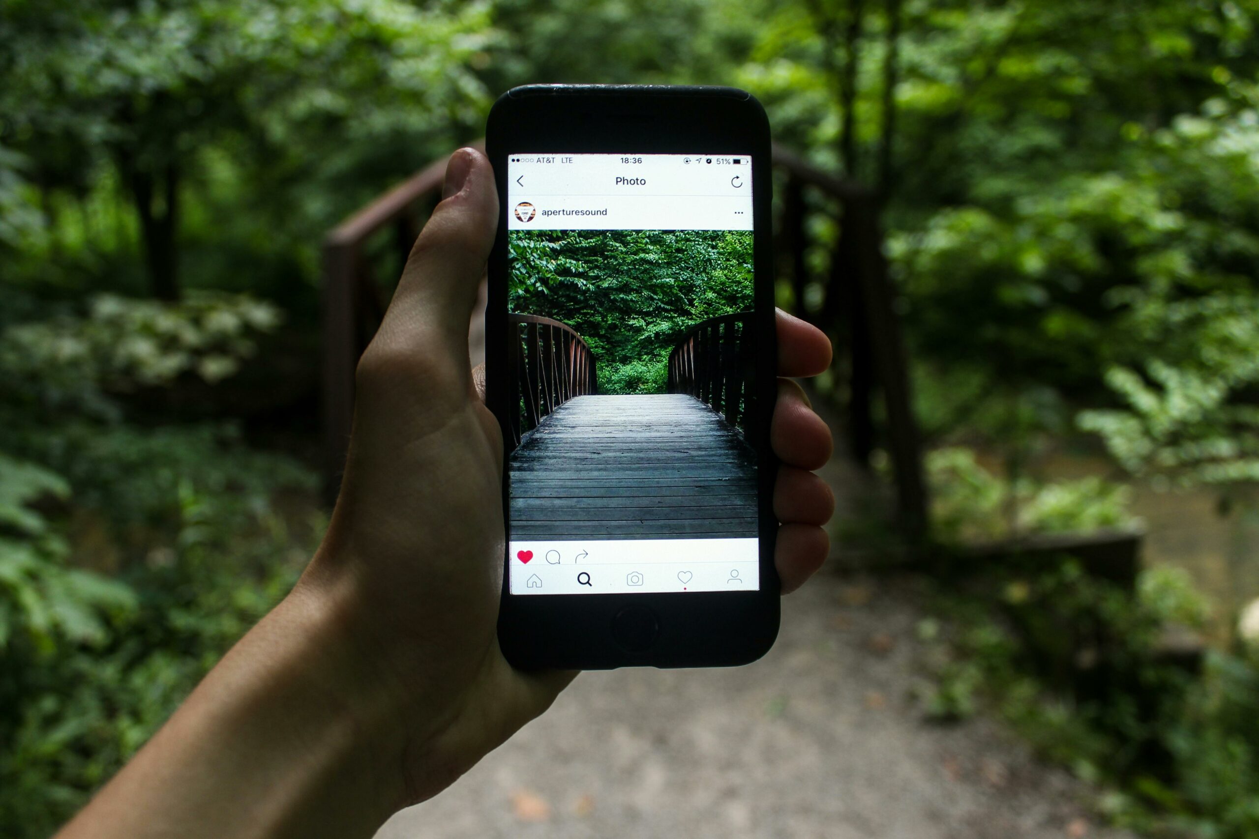 Hand holding a phone with an Instagram image of a bridge in a forest.